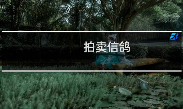 拍卖信鸽