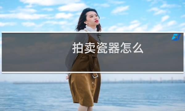 拍卖瓷器怎么