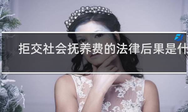 拒交社会抚养费的法律后果是什么