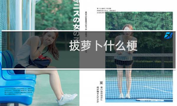 拔萝卜什么梗