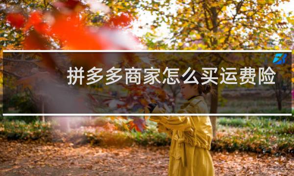 拼多多商家怎么买运费险