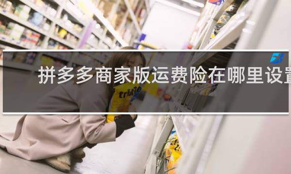 拼多多商家版运费险在哪里设置