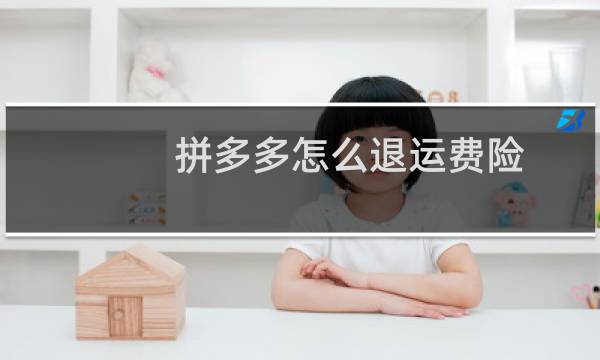 拼多多怎么退运费险