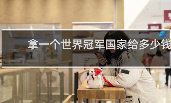 拿一个世界冠军国家给多少钱