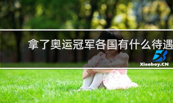 拿了奥运冠军各国有什么待遇