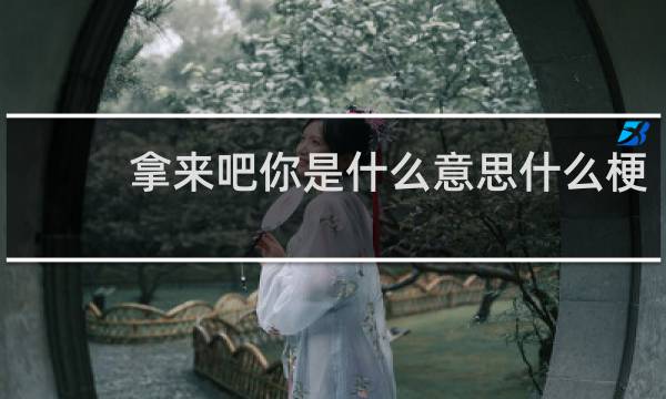 拿来吧你是什么意思什么梗