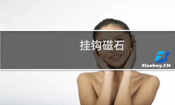 挂钩磁石