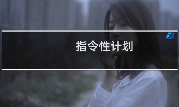 指令性计划