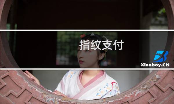 指纹支付图片