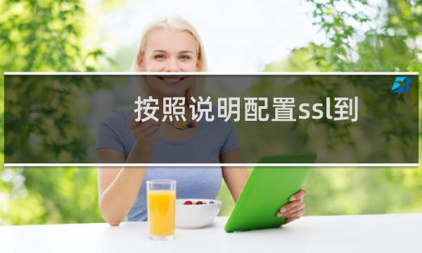 按照说明配置ssl到这一步不知道该如何操作了