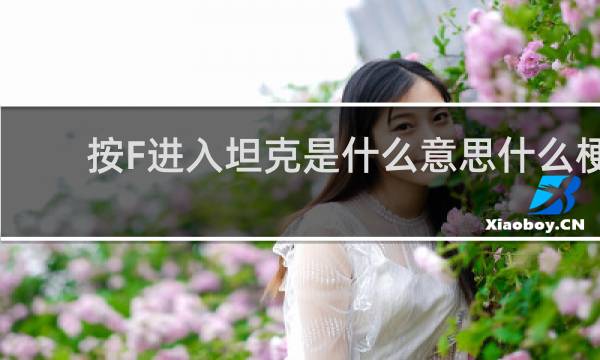 按F进入坦克是什么意思什么梗