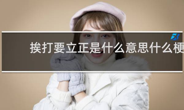 挨打要立正是什么意思什么梗