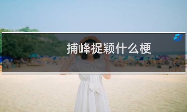 捕峰捉颖什么梗