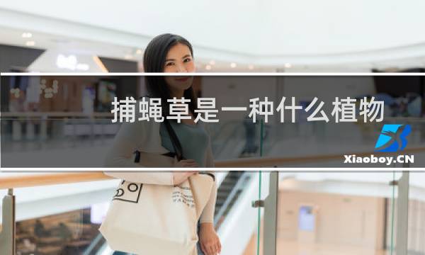 捕蝇草是一种什么植物(捕蝇草世界上最神奇的植物)