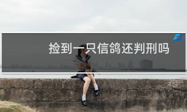 捡到一只信鸽还判刑吗