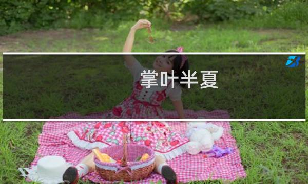 掌叶半夏图片