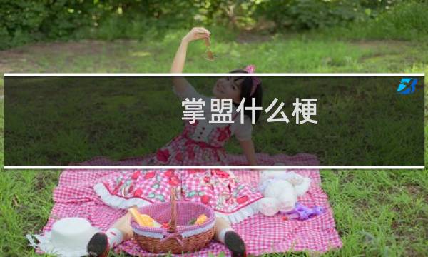 掌盟什么梗