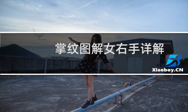 掌纹图解女右手详解（女生右手掌纹解说图）