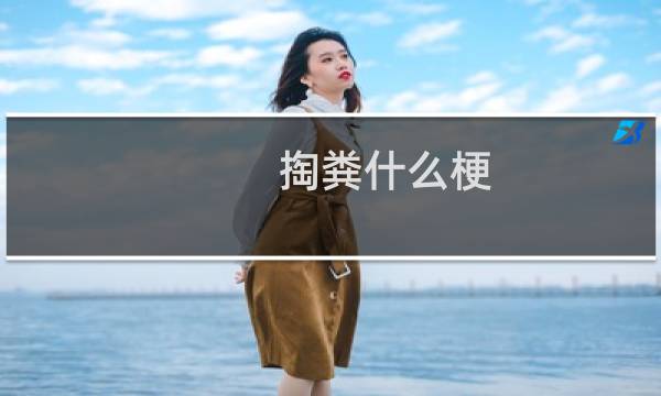 掏粪什么梗