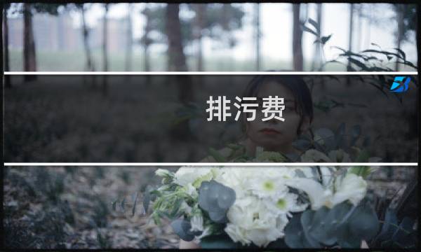 排污费
