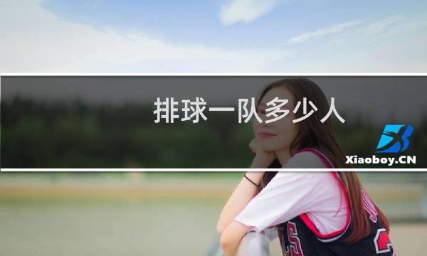 排球一队多少人
