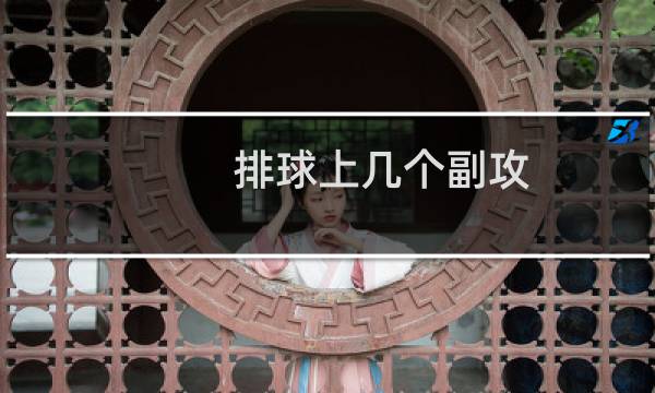 排球上几个副攻