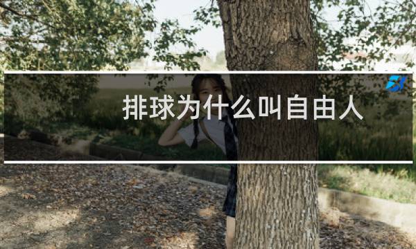 排球为什么叫自由人