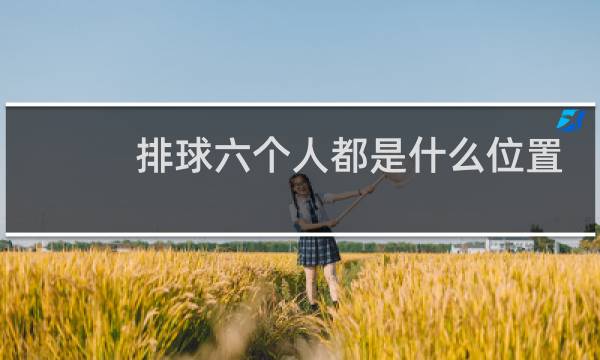 排球六个人都是什么位置