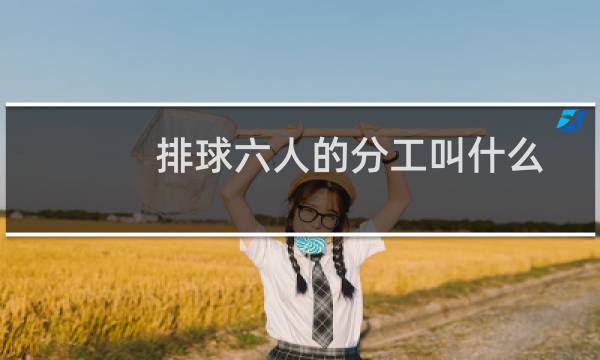 排球六人的分工叫什么