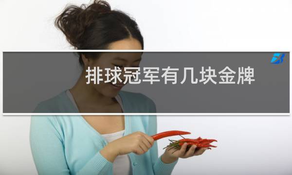 排球冠军有几块金牌