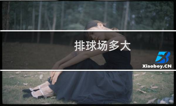 排球场多大