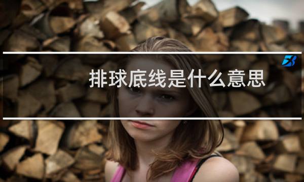 排球底线是什么意思