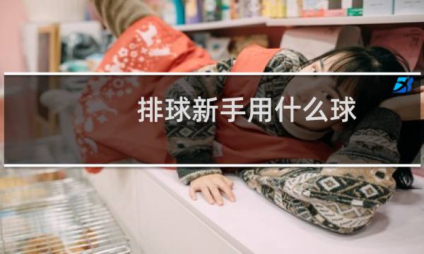排球新手用什么球