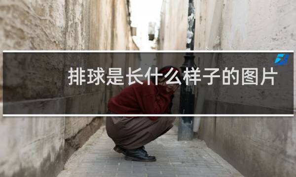 排球是长什么样子的图片