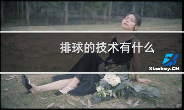 排球的技术有什么