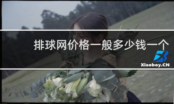 排球网价格一般多少钱一个