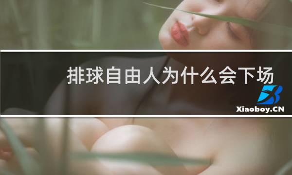 排球自由人为什么会下场