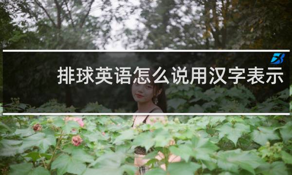 排球英语怎么说用汉字表示