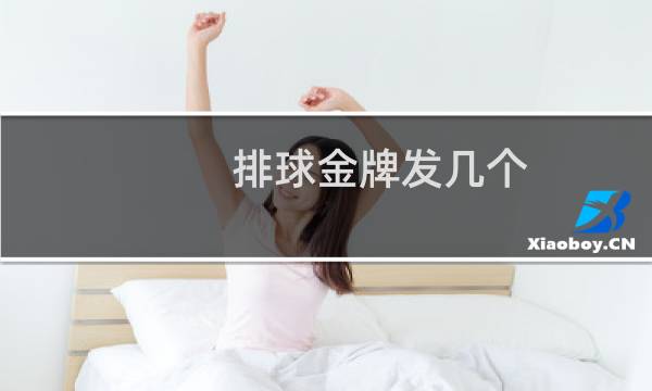 排球金牌发几个