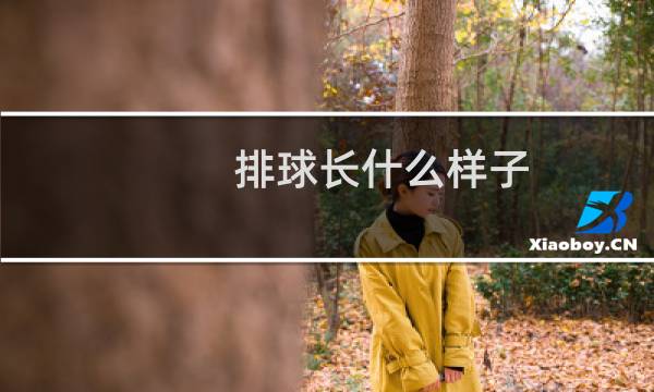 排球长什么样子