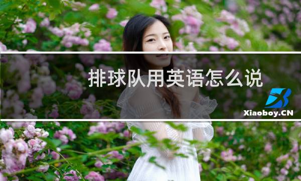 排球队用英语怎么说