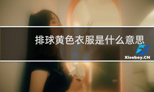 排球黄色衣服是什么意思
