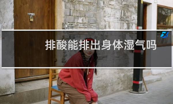 排酸能排出身体湿气吗