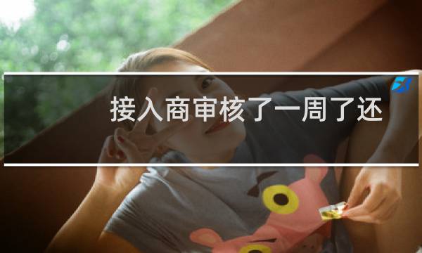 接入商审核了一周了还没审核