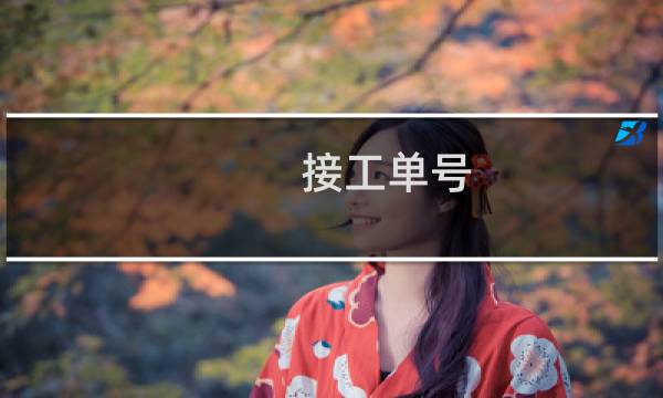 接工单号：  问题 -云服务器问题
