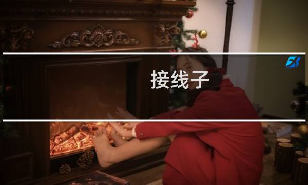 接线子