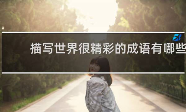描写世界很精彩的成语有哪些