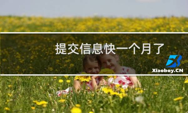 提交信息快一个月了，依旧没审核?