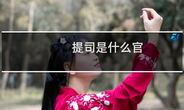提司是什么官