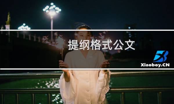 提纲格式公文（提纲格式）图片